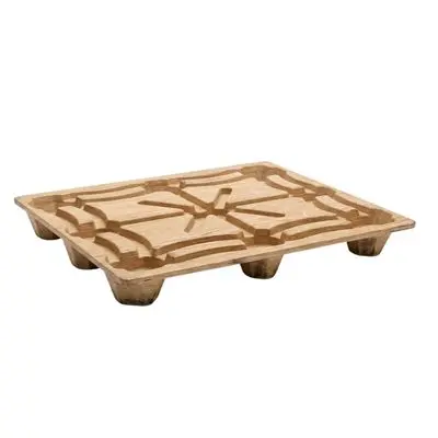 FC1109-Real.webp